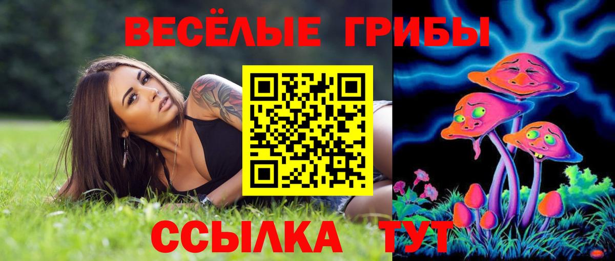 Галлюциногенные грибы Cubensis Славянск-на-Кубани
