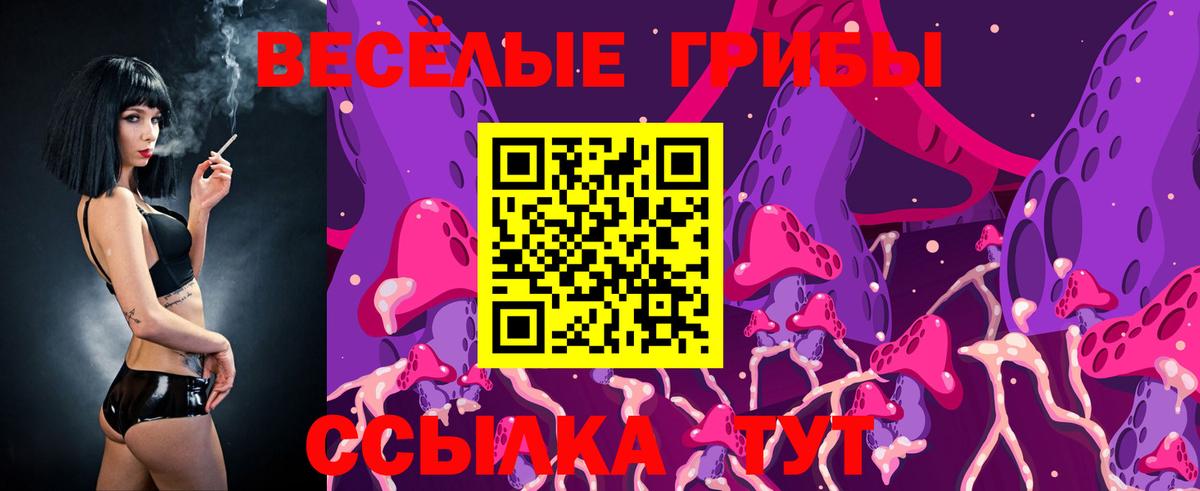 Галлюциногенные грибы Magic Shrooms  Вход с VPN  Славянск-на-Кубани 